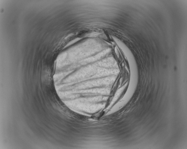 X0000064751108200603131336