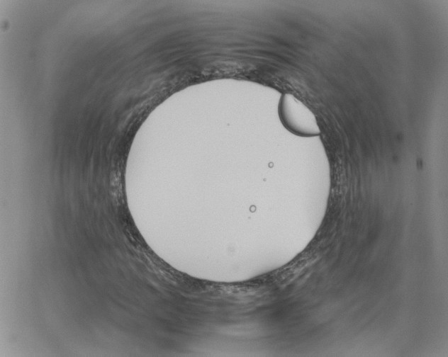 X0000064751109200603131336