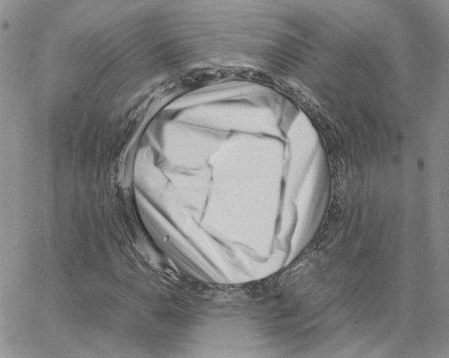 X0000064751110200603131336