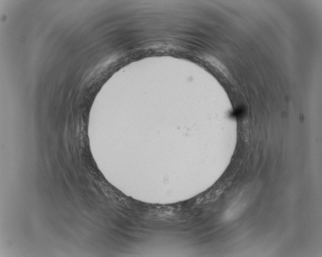 X0000064751111200603131336