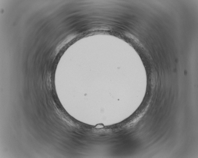 X0000064751113200603131336