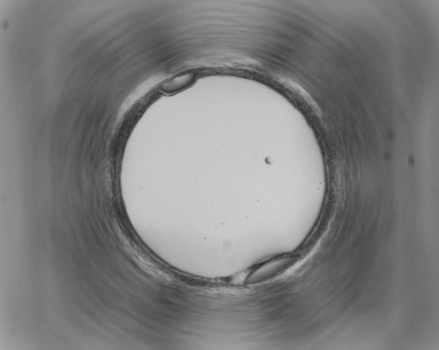 X0000064751114200603131336