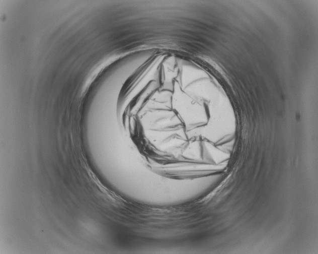 X0000064751115200603131336