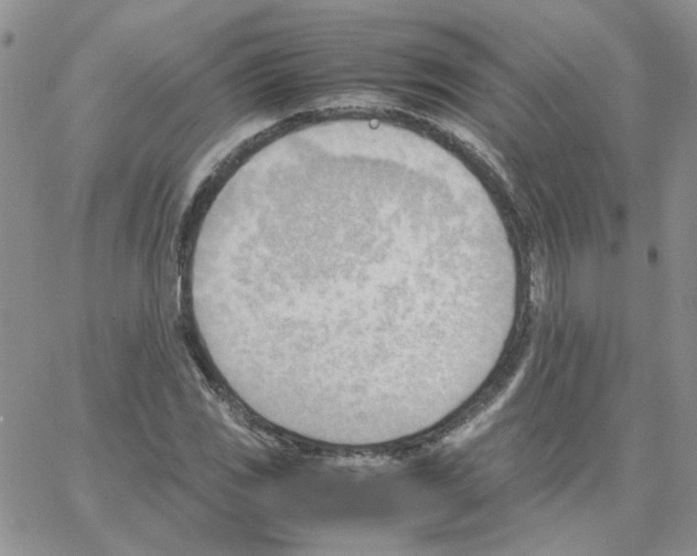 X0000064751117200603131336