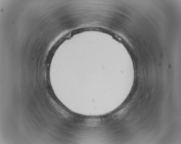 X0000064751118200603131336