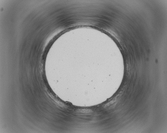 X0000064751119200603131336