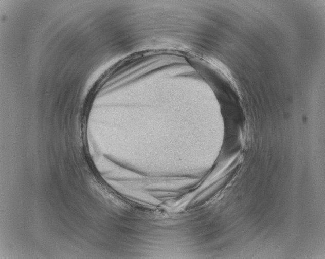 X0000064751120200603131337