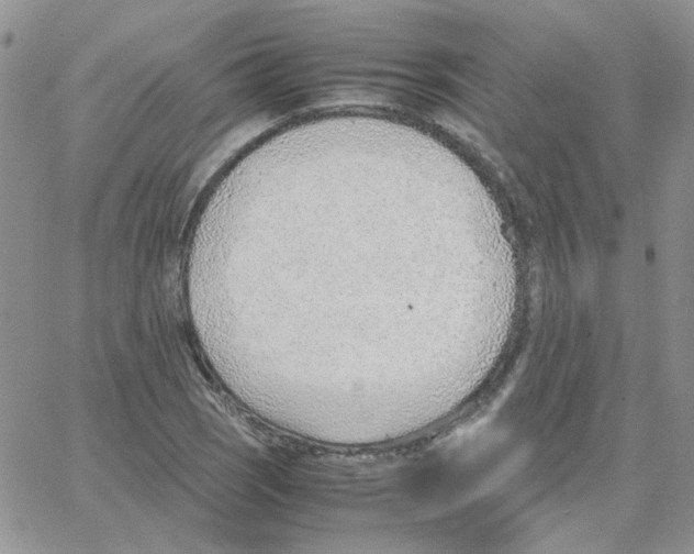 X0000064751121200603131337