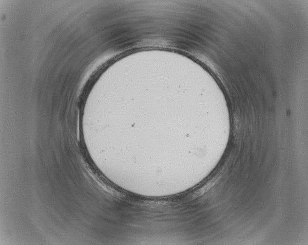 X0000064751123200603131337