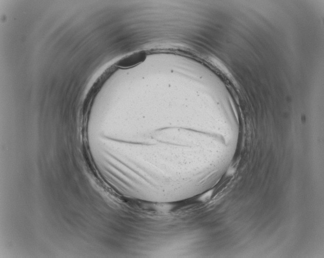 X0000064751124200603131337