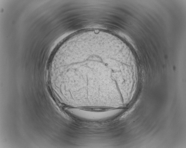 X0000064751125200603131337