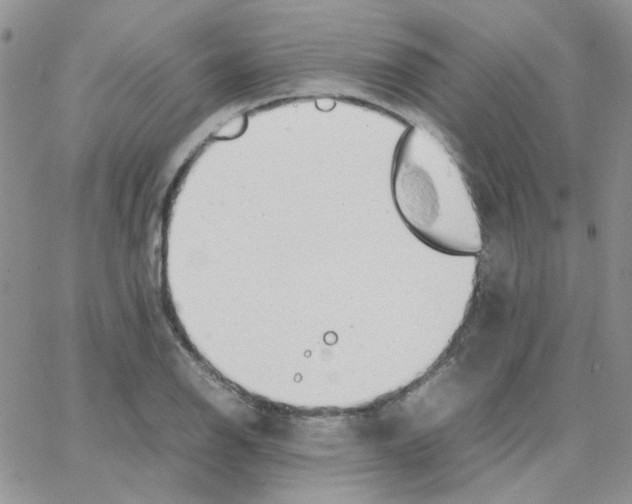 X0000064751126200603131337