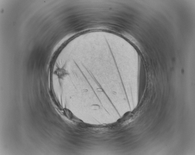 X0000064751127200603131337