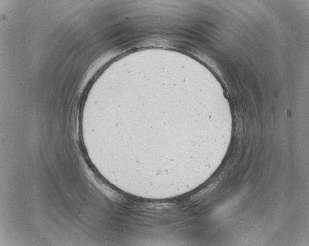 X0000064751131200603131337