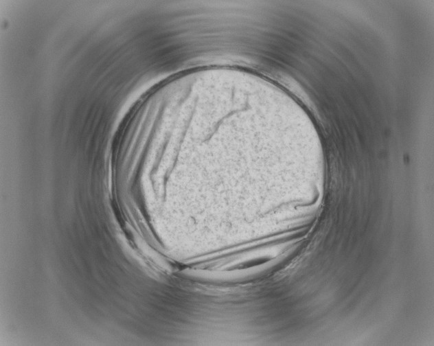 X0000064751132200603131337