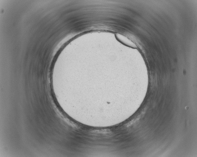 X0000064751133200603131337