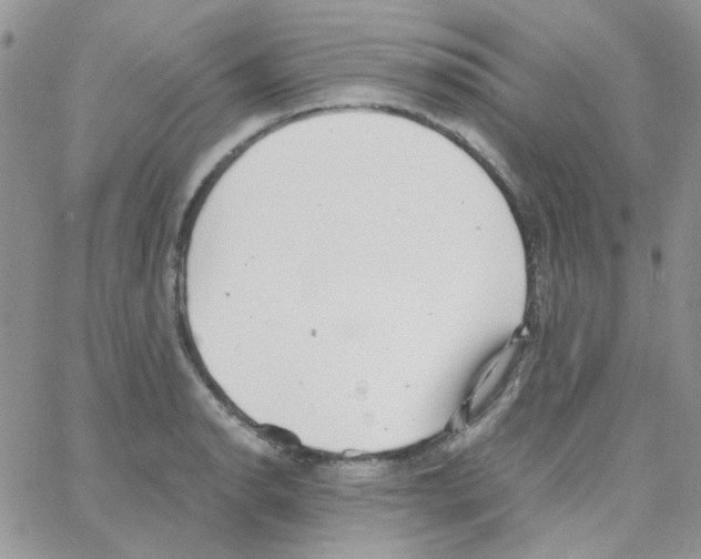 X0000064751134200603131337