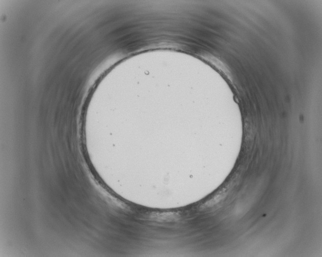 X0000064751135200603131337