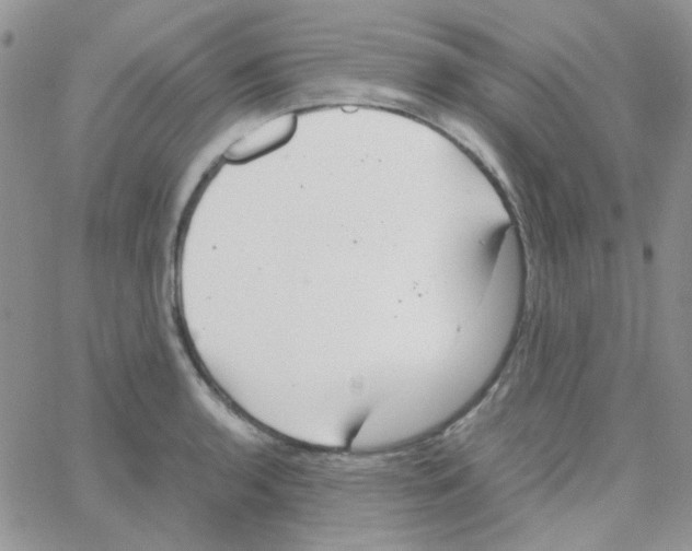 X0000064751136200603131337