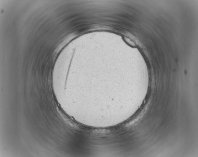 X0000064751137200603131337