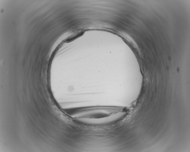 X0000064751138200603131337