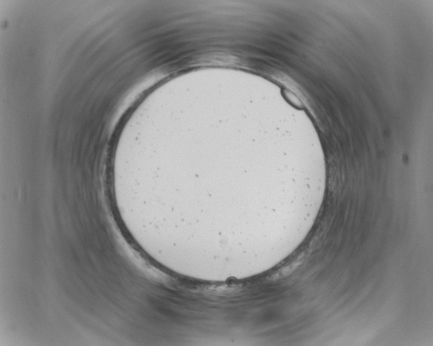 X0000064751139200603131337