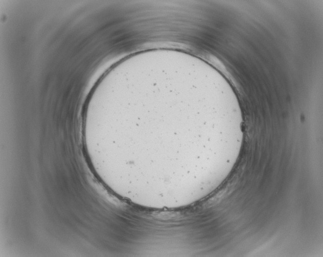 X0000064751140200603131337