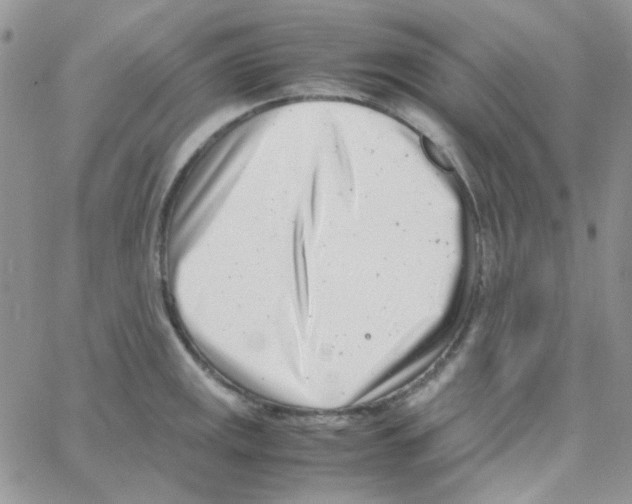 X0000064751141200603131337