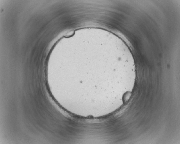 X0000064751142200603131337