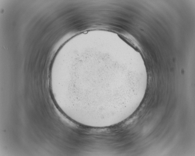 X0000064751143200603131337