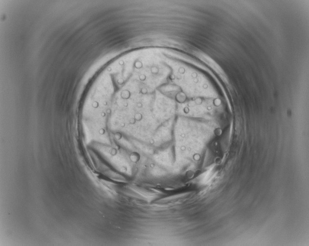 X0000064751144200603131337