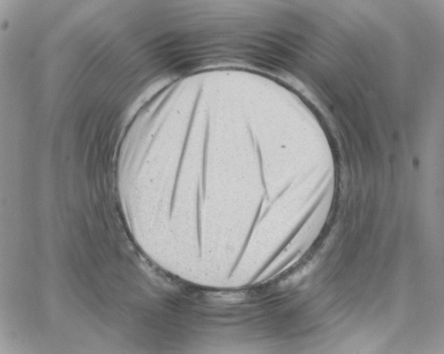 X0000064751145200603131337