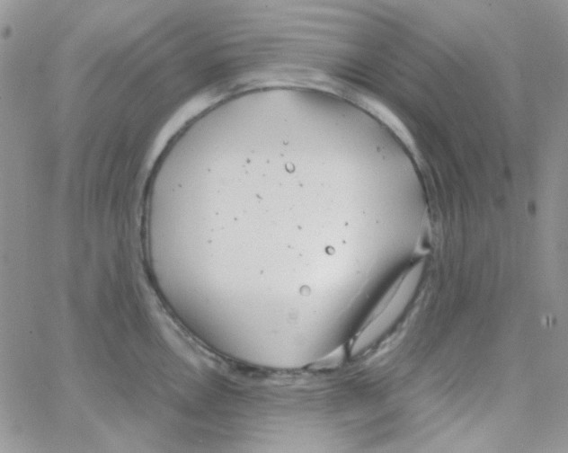 X0000064751146200603131337