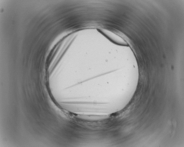 X0000064751147200603131337