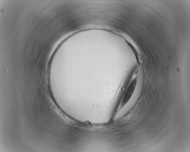 X0000064751148200603131337