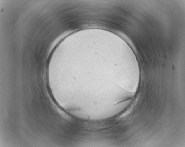 X0000064751149200603131337