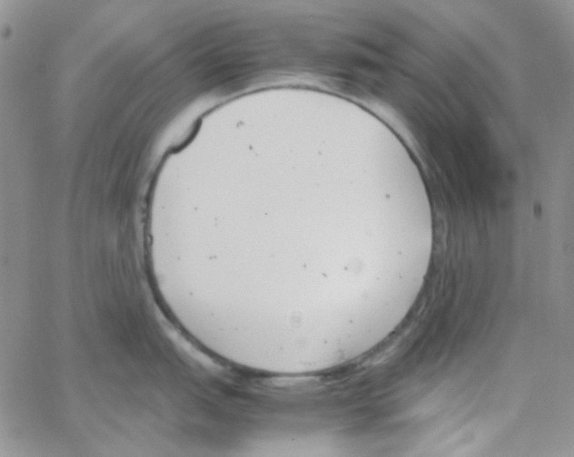 X0000064751151200603131337