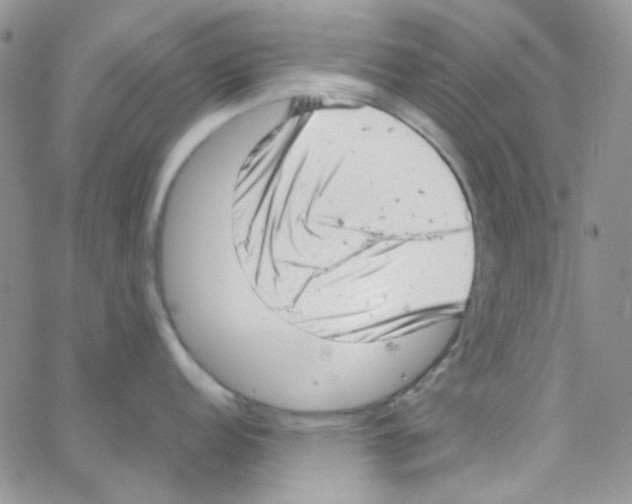 X0000064751152200603131337