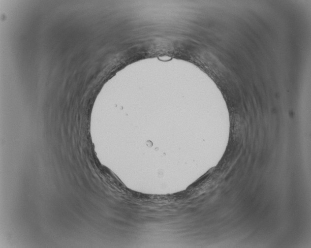 X0000064751153200603131336