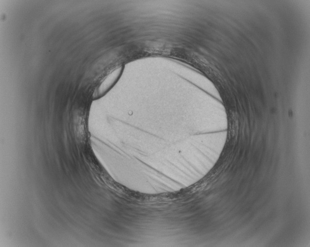 X0000064751154200603131336