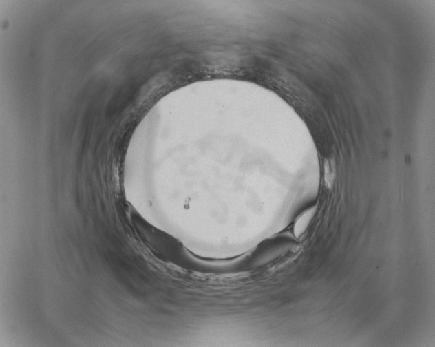 X0000064751155200603131336