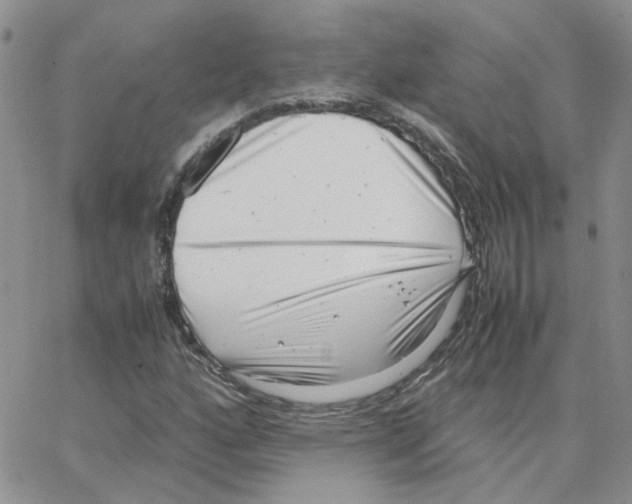 X0000064751160200603131336