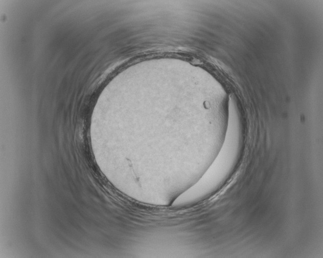 X0000064751161200603131336