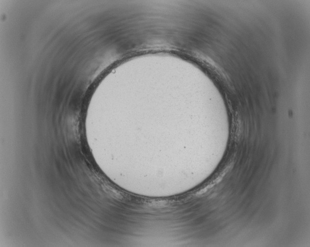 X0000064751162200603131336