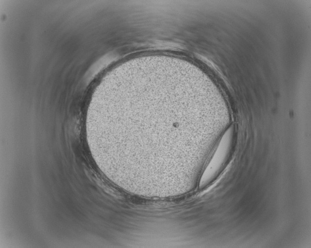 X0000064751163200603131336