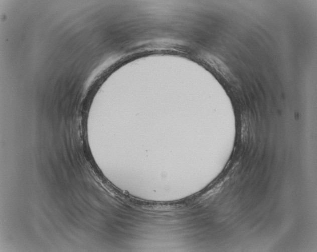 X0000064751164200603131336