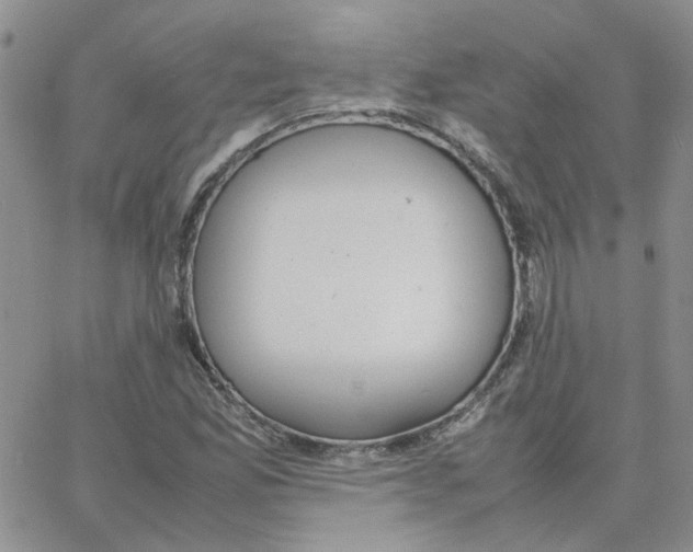 X0000064751165200603131336