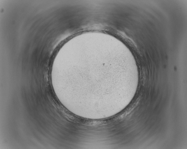 X0000064751166200603131336