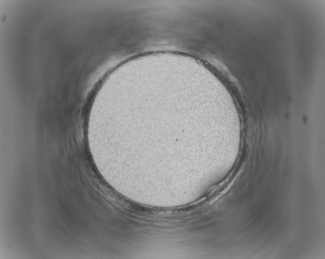 X0000064751167200603131336