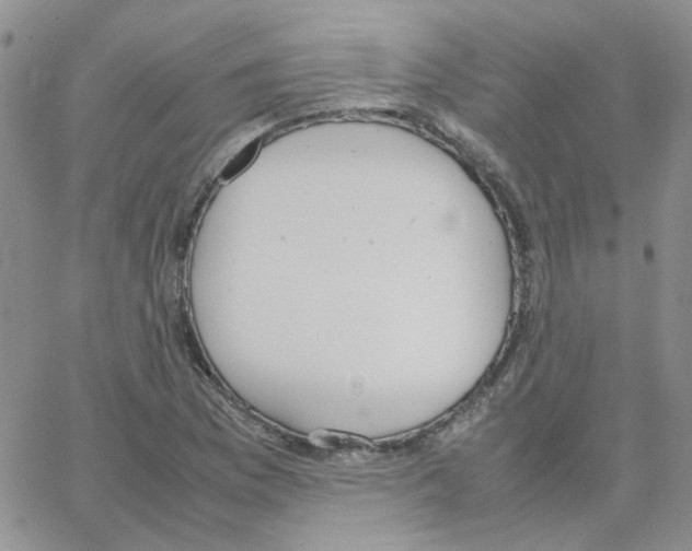 X0000064751169200603131336